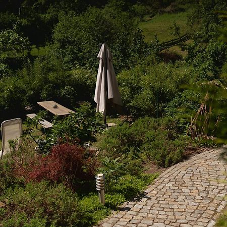 Haus Am Berzdorfer See - 3 Schlafzimmer - Ganzes Haus Zur Alleinnutzung - Terrasse - Hochwertige Ausstattung Görlitz Buitenkant foto