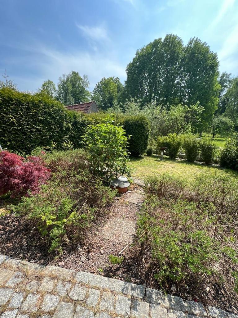 Haus Am Berzdorfer See - 3 Schlafzimmer - Ganzes Haus Zur Alleinnutzung - Terrasse - Hochwertige Ausstattung Görlitz Buitenkant foto