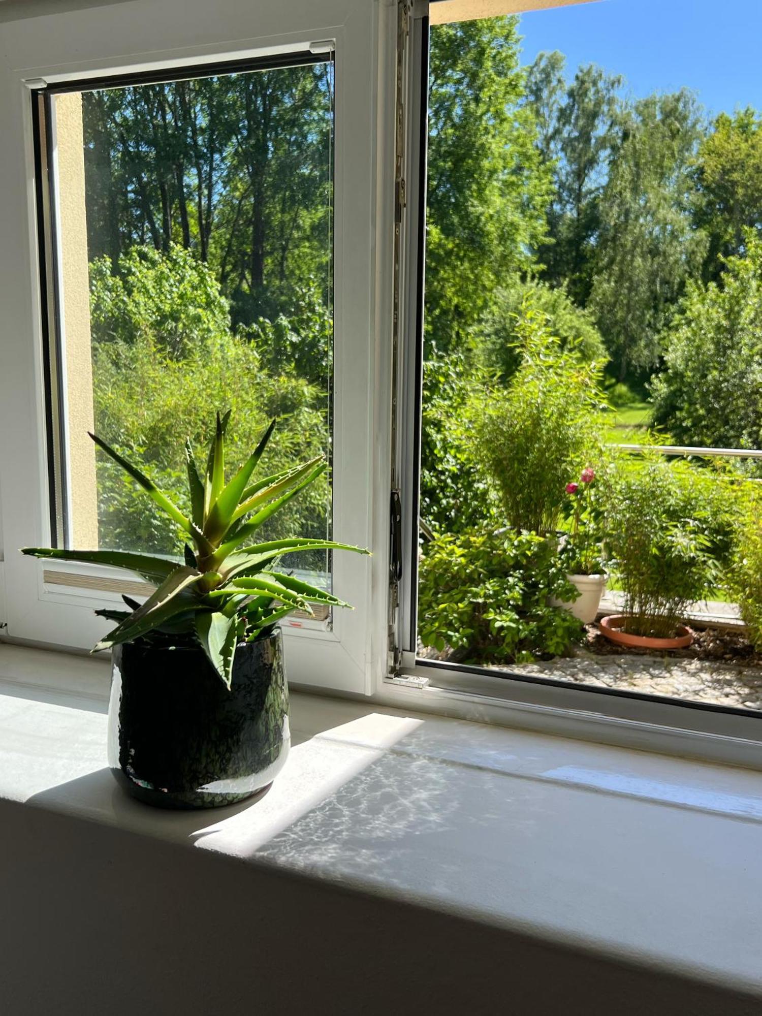 Haus Am Berzdorfer See - 3 Schlafzimmer - Ganzes Haus Zur Alleinnutzung - Terrasse - Hochwertige Ausstattung Görlitz Buitenkant foto